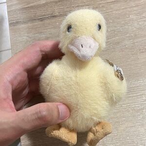 Mr. Teddy Adorable Plush Duck Toy Keychain